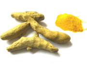 Curcuma