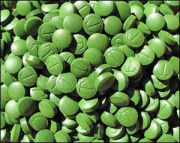 Chlorella