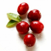 cranberry