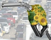biocarburant biodiesel